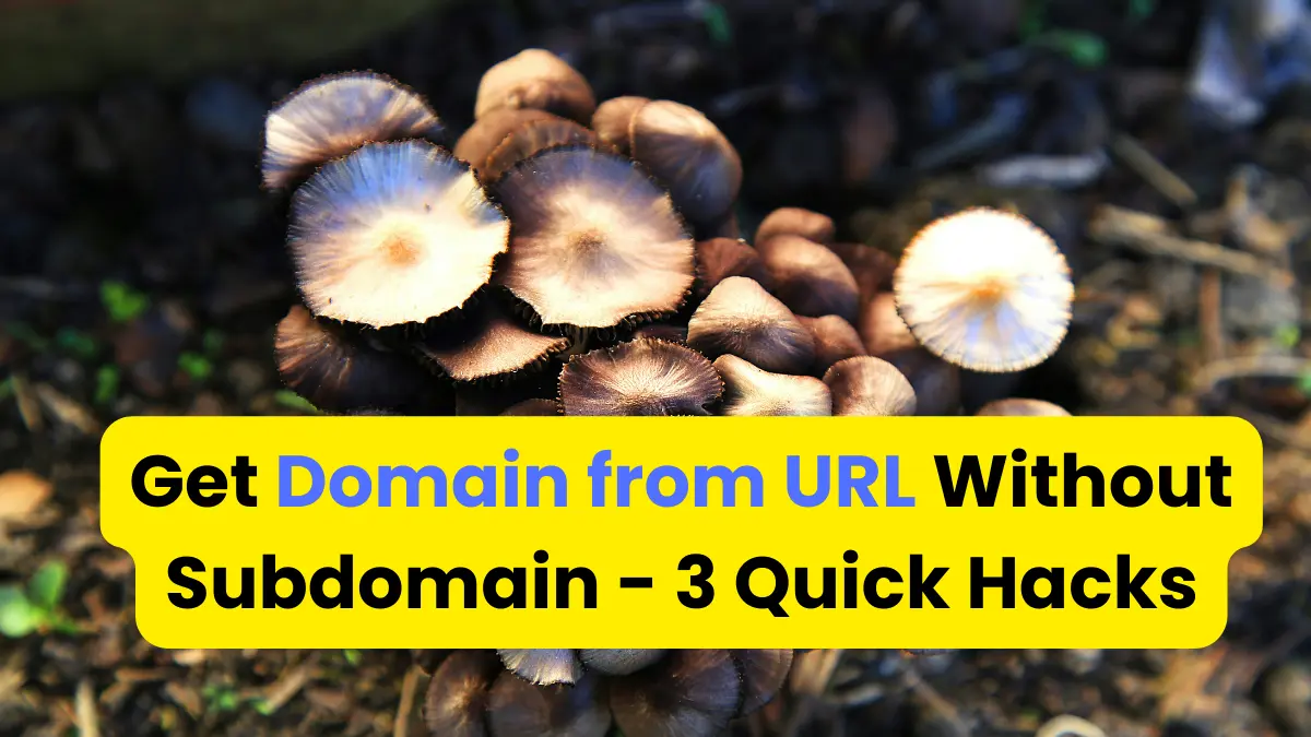 JavaScript Get Domain from URL Without Subdomain: 3 Quick Hacks